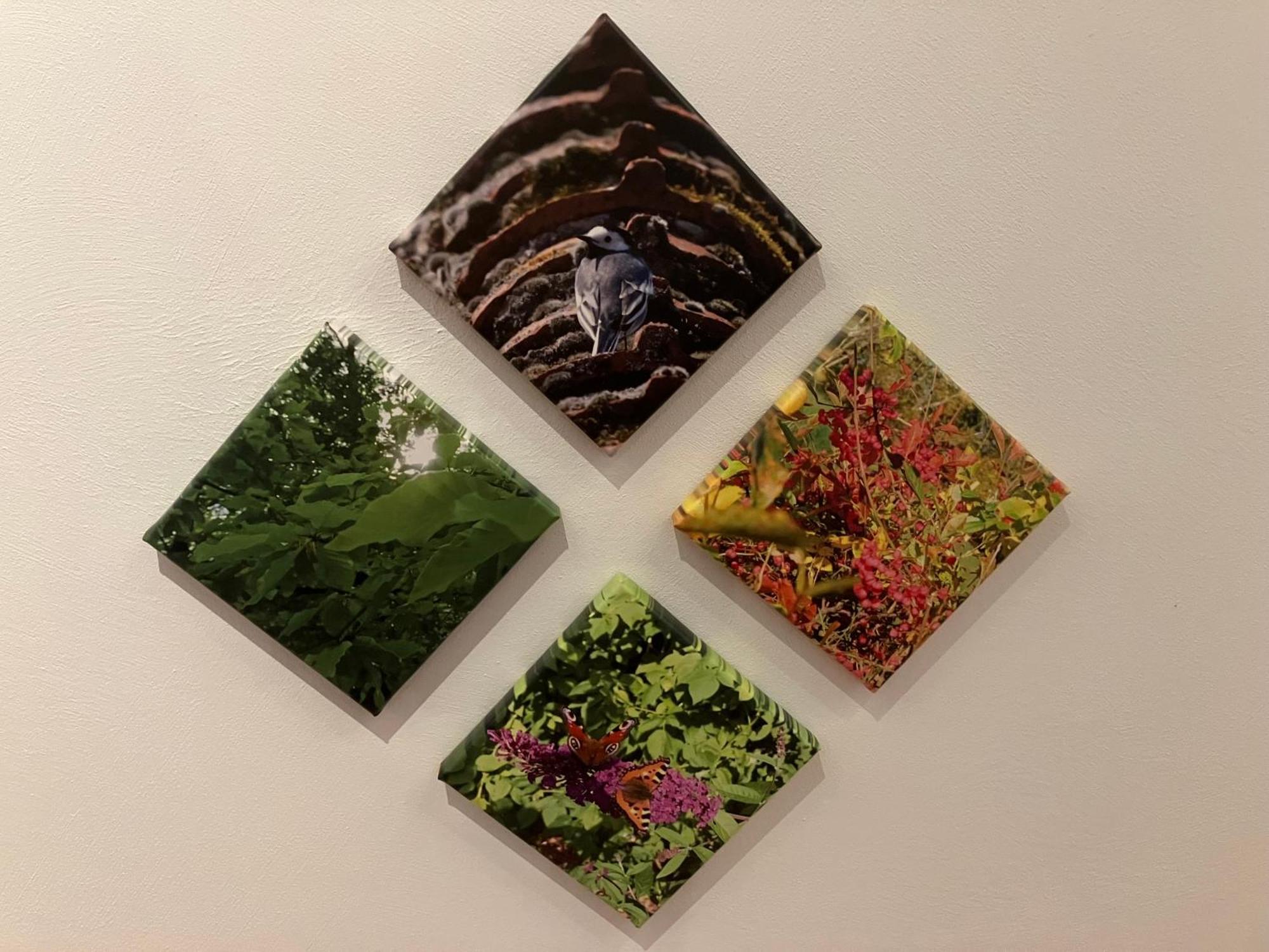 In Der Wassermuehle Melle Buitenkant foto